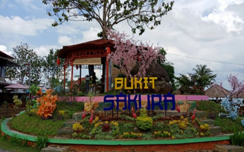 Destinasi